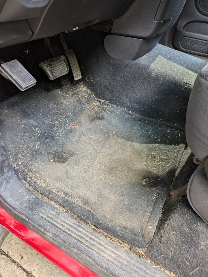 Interior Before
